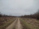 Dans la théorie, on est en forêt